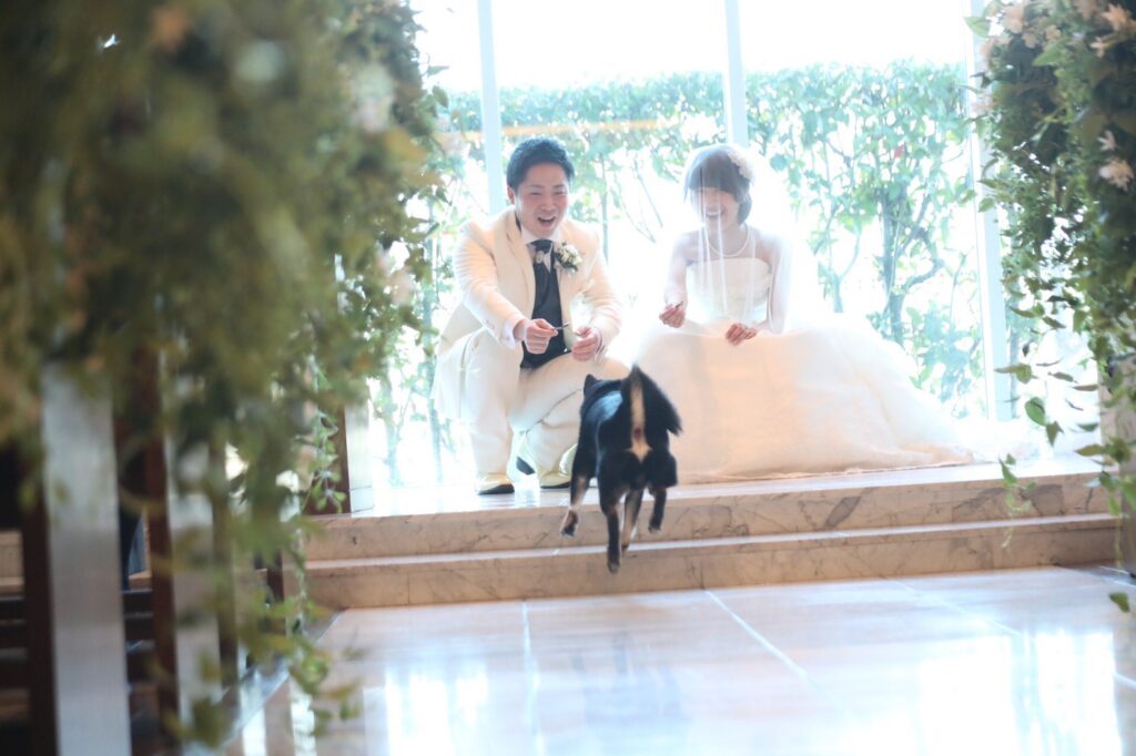 リングドッグ 愛媛県松山市の結婚式場 ベルフォーレ松山 公式